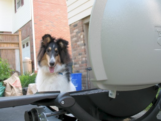 Otto at the grill