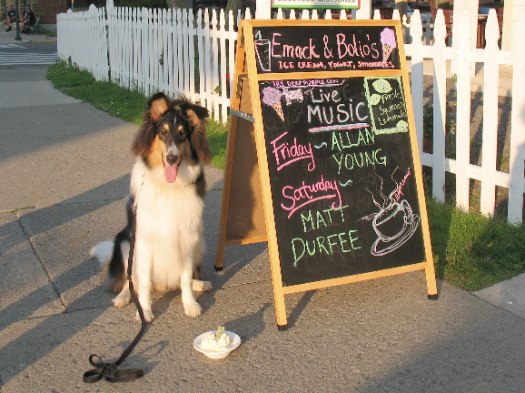 Otto with a doggie sundae