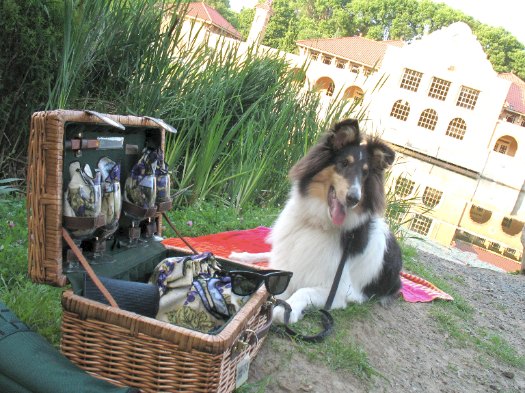 picnic by the lake in Washington Park