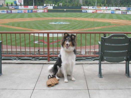 Otto at the Joe