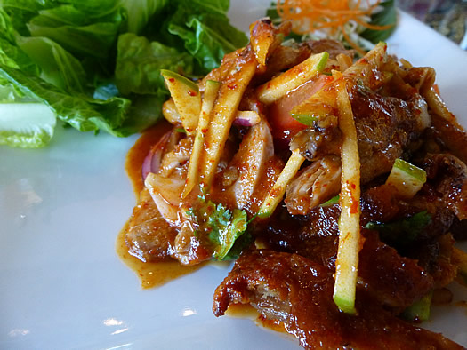 sweet basil duck salad closeup