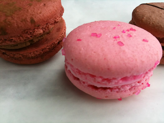 pink macaron closeup tc bakery