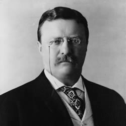 Teddy Roosevelt closeup