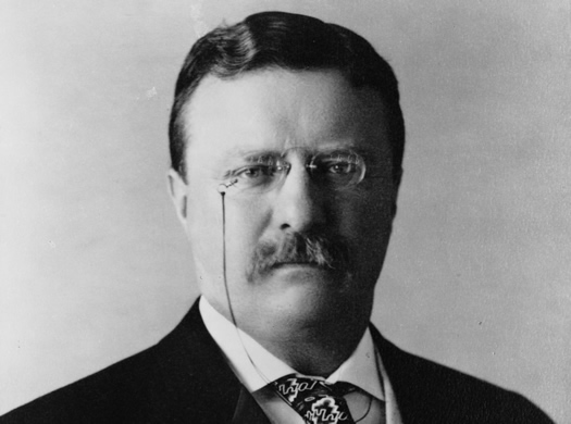 theodore roosevelt