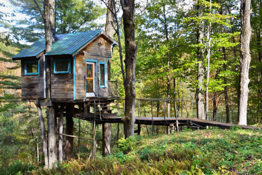 tiny fern forest treehouse airbnb