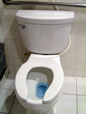 toilet with blue water