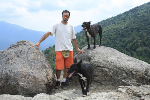 tom genovese with dogs