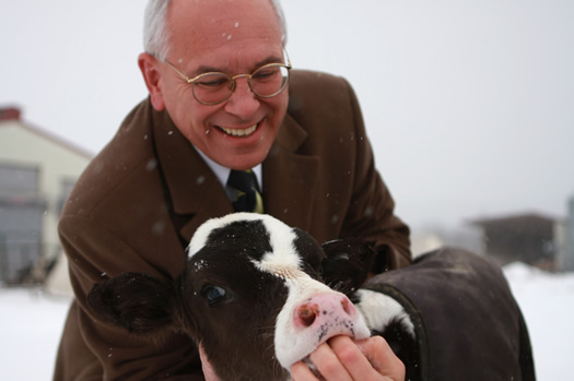 Tonko with a cow