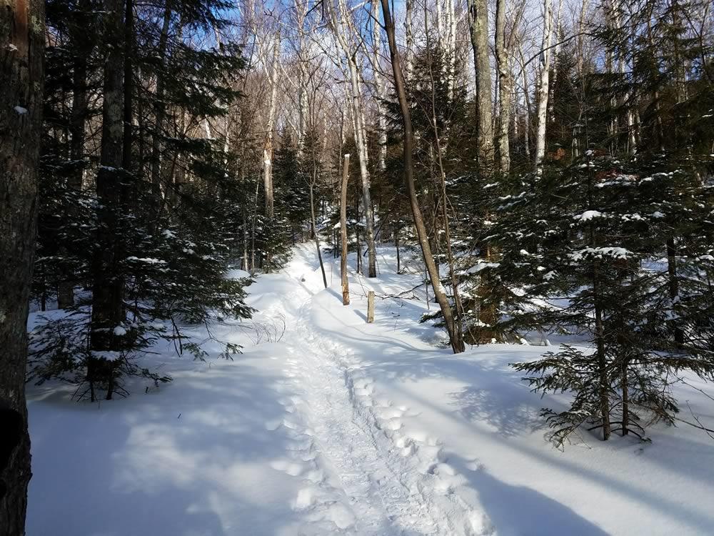 trail near Adirondack Loj winter