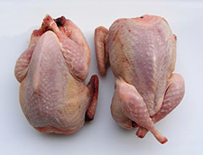 two raw quail