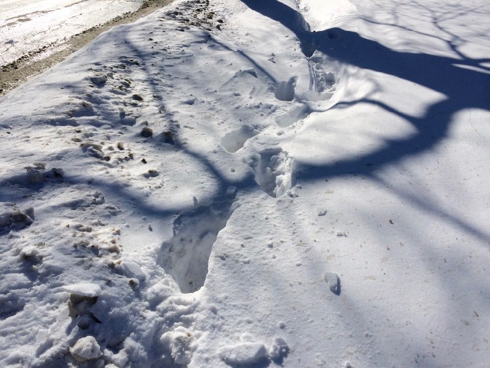 unshoveled sidewalk