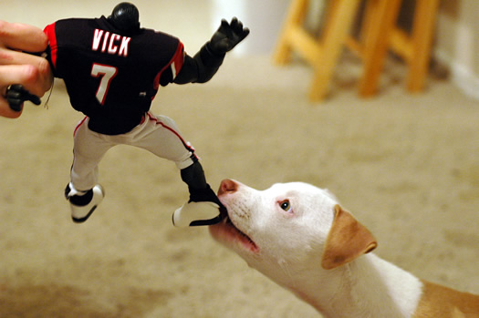 vick dog chew