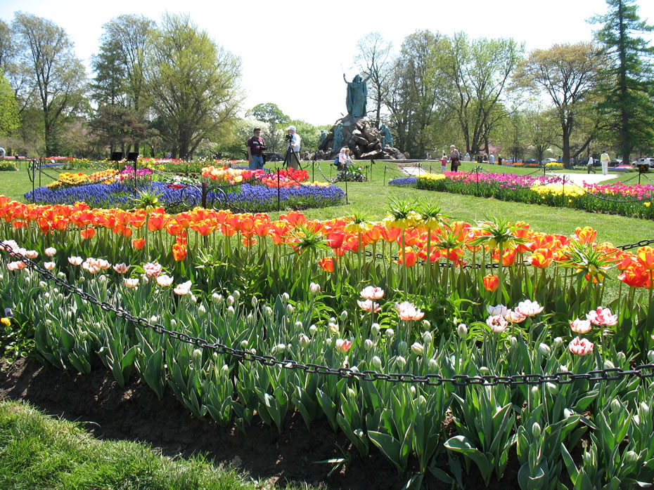 washington_park_tulips_2012-04-20_5.jpg