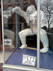 yeti_for_sale_troy_kgigante.jpg