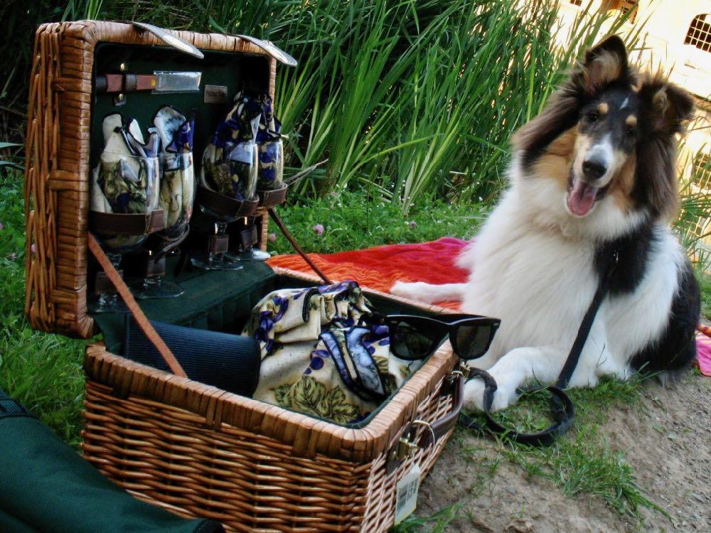 young Otto with picnic basket