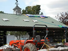 youngs general store prattsville