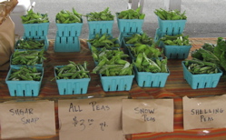 peas menands market.jpg