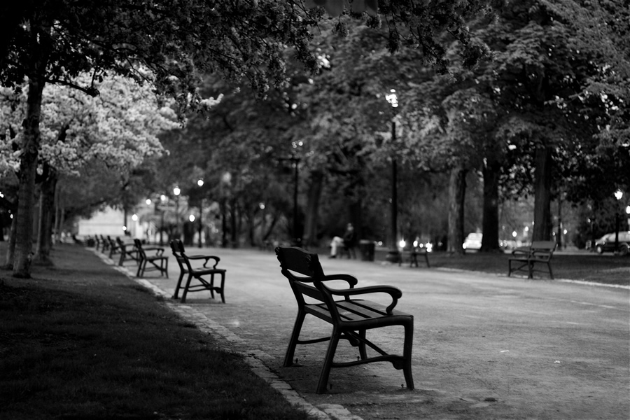 washington park path