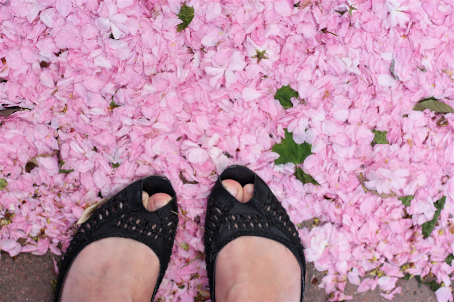 pink petals feet