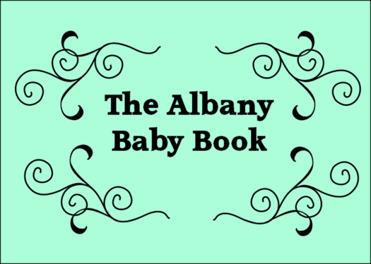 startup app 2012 Albany Baby Book