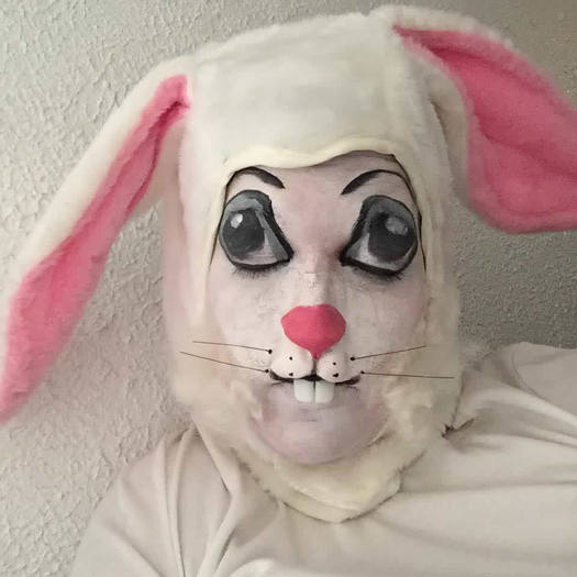 Startups2016 Makeup Curio rabbit